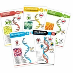 Sierra Madre Games Board Games Bios: Genesis (2nd Edition)