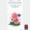 Mighty Boards Board Games Petrichor: Flowers Expansion