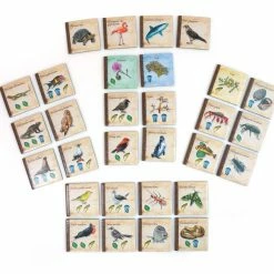 Artana Board Games On The Origin Of Species